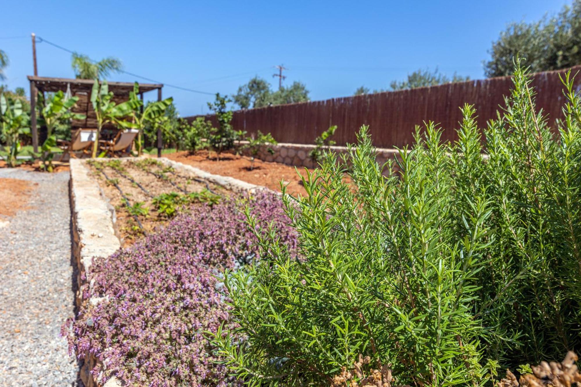Γηorganic Farm And Houses. Χερσόνησος Εξωτερικό φωτογραφία